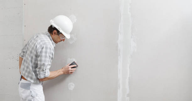 Best Asbestos and Lead Testing During Mold Inspection  in Worland, WY