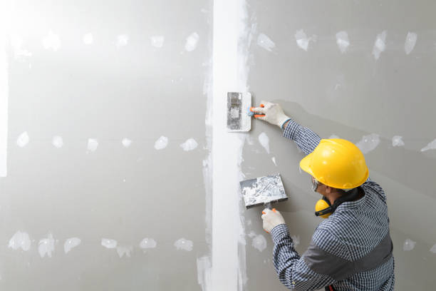 Trusted Worland, WY Mold Removal Experts
