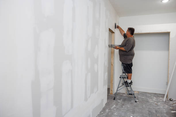Best Water Damage & Mold Remediation  in Worland, WY